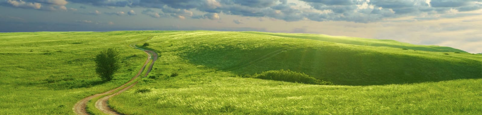 banner-pathway